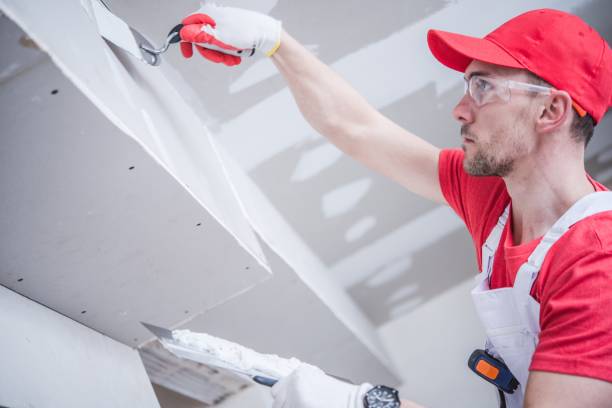 Best Commercial Painting Services  in Scissors, TX